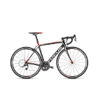 FOCUS CAYO 4.0 2015