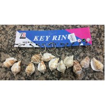 10 Adet Deniz Kabuğu İstiridye Anahtarlık