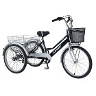 UMIT 24 JANT CARGO TRANSPORT BISIKLET BJ-030044