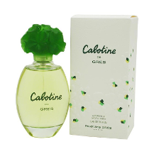 Cabotine Bayan Edp 100Ml